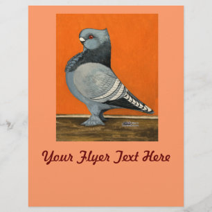 Blue Blondinette Pigeon Flyer