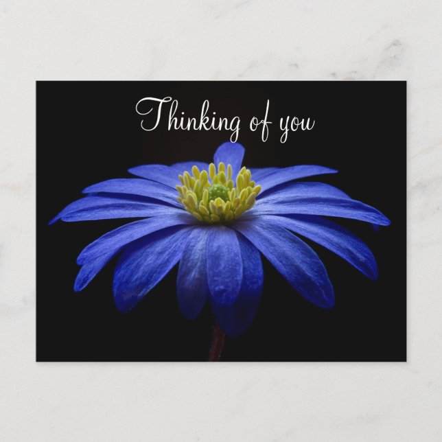 Blue Blume Postcard Postkarte (Vorderseite)