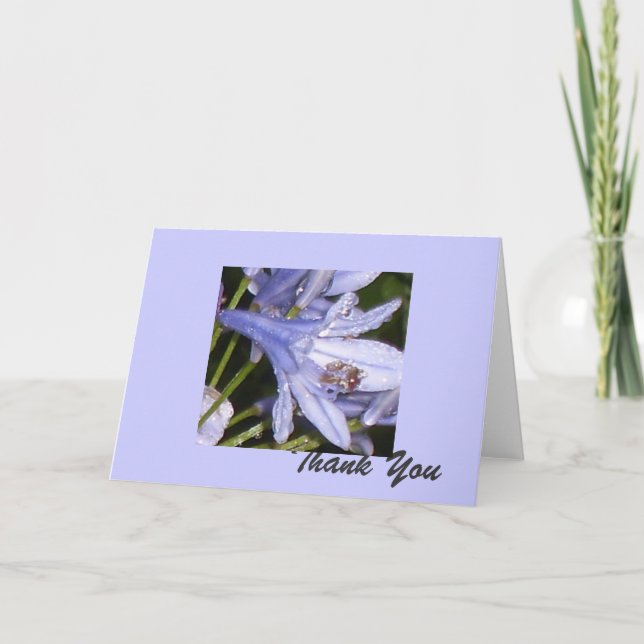 Blue Blumen am Morgen 1. Danke (Vorderseite)