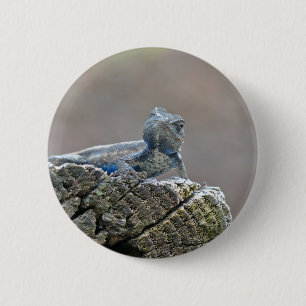 Blue Bly Alligator Lizard Button