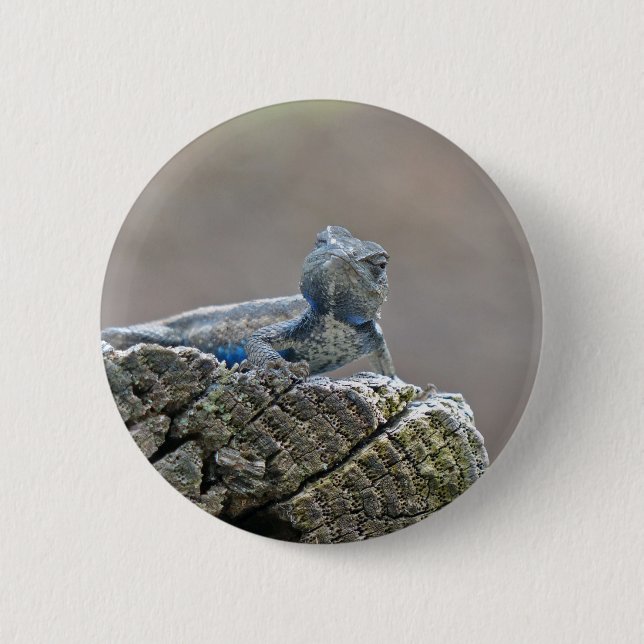 Blue Bly Alligator Lizard Button (Vorderseite)