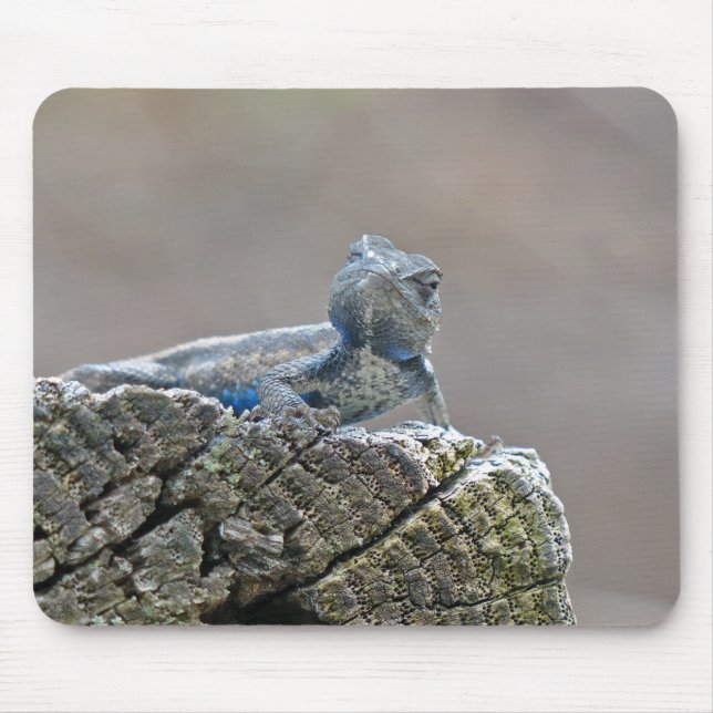 Blue Bly Alligator Lizard Mousepad (Vorne)