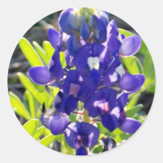 Blue Bonnet Runder Aufkleber