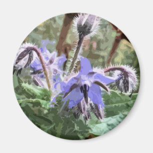 Blue Borage Star Blume auf Küchenmagnet Magnet