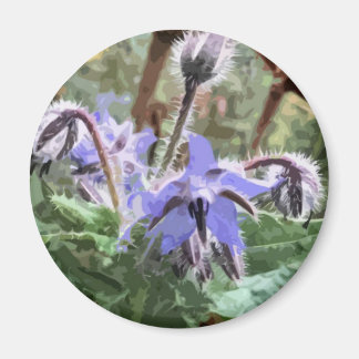 Blue Borage Star Blume auf Küchenmagnet Magnet