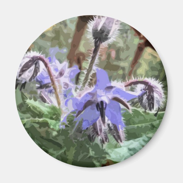 Blue Borage Star Blume auf Küchenmagnet Magnet (Vorne)