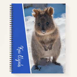 Blue Boys Individuelle Name Quokka am Strand Notizbuch