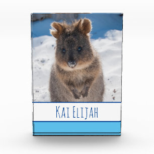 Blue Boys Personalisiert Quokka am Strand Fotoblock