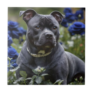 "Blue Brindle Beauty: Eine Persönlichkeit in blaue Fliese