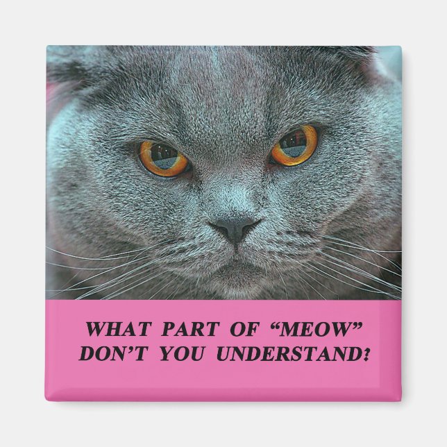 Blue British Shorthair Cat Kühlschrankmagnet (Vorne)