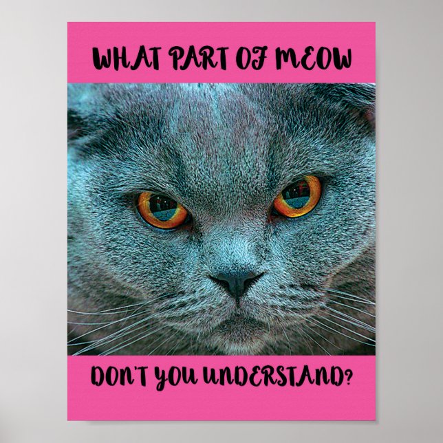 Blue British Shorthair Cat witzig und humorvoll Poster (Vorne)