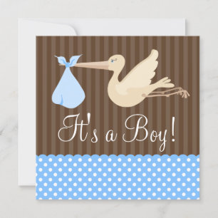 Blue Brown Stork Dots Boy Baby Dusche Einladung