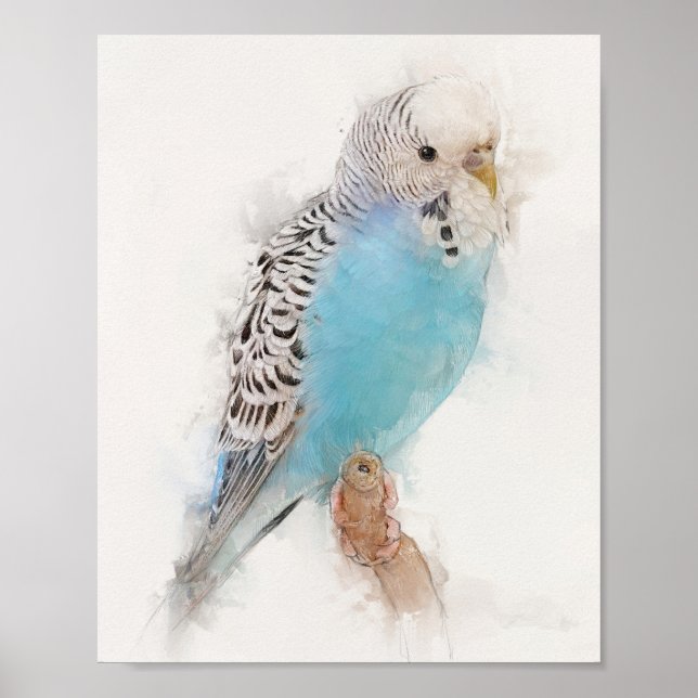 Blue Budgie Portrait Poster (Vorne)