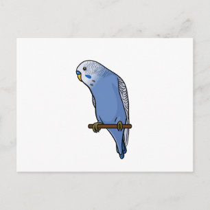 Blue Budgie Postkarte