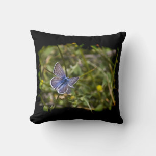 Blue Butterfly Black Edge Kissen