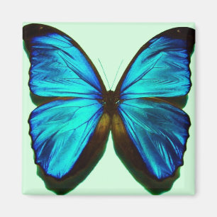 Blue Butterfly Blume Farbenfrohe Muster Kunst Magnet