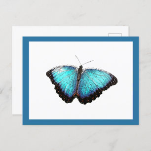Blue Butterfly Fine Nature Foto Postkarte