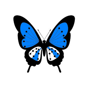 Blue Butterfly Golf Balls Golfball