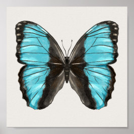 Blue Butterfly Insect Art Lover Poster