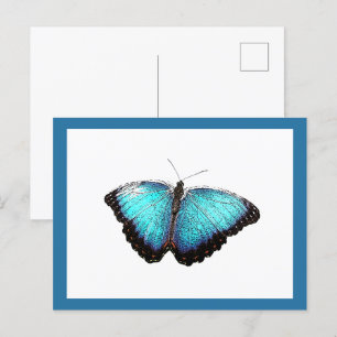 Blue Butterfly Nature Art, Fine Foto Illustration Postkarte