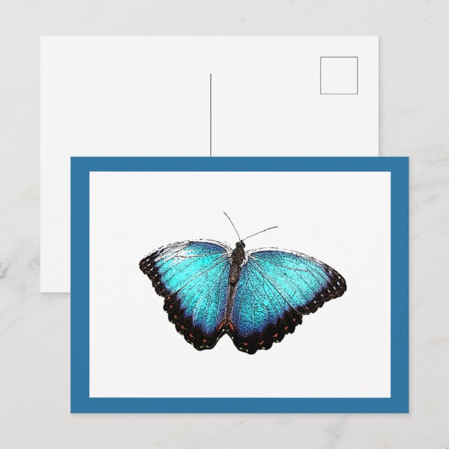 Blue Butterfly Nature Art, Fine Foto Illustration Postkarte (Vorne/Hinten)