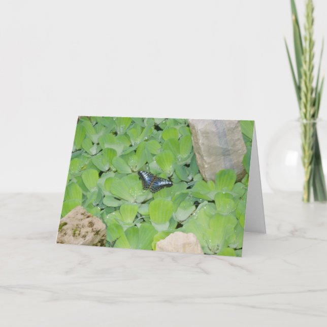 "Blue Butterfly"-Osterkarte Karte (Vorderseite)