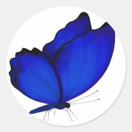 Blue Butterfly Umschlag Aufkleber