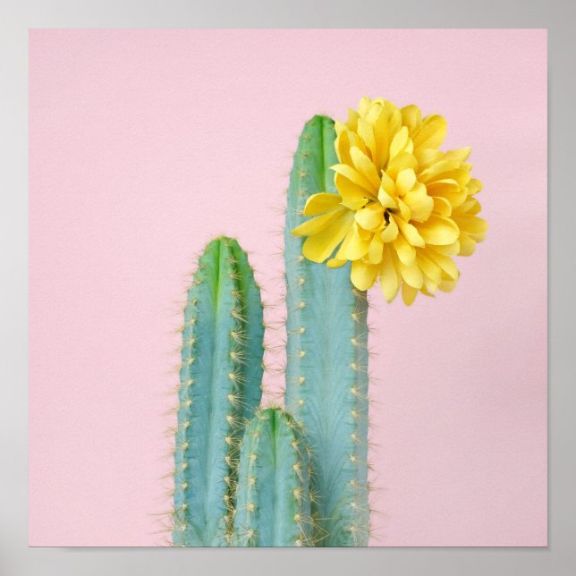 Blue Cactus Trio Poster (Vorne)