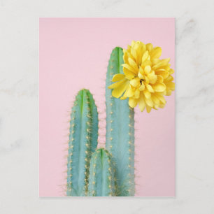 Blue Cactus Trio Postkarte