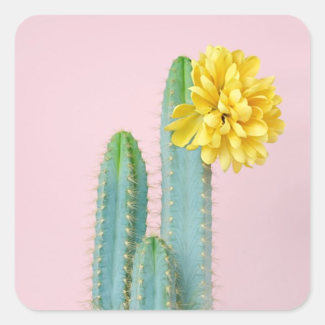 Blue Cactus Trio Quadratischer Aufkleber (Vorderseite)