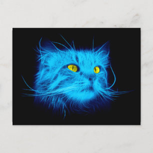 Blue Cat Face Postkarte