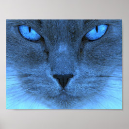 Blue Cat Poster