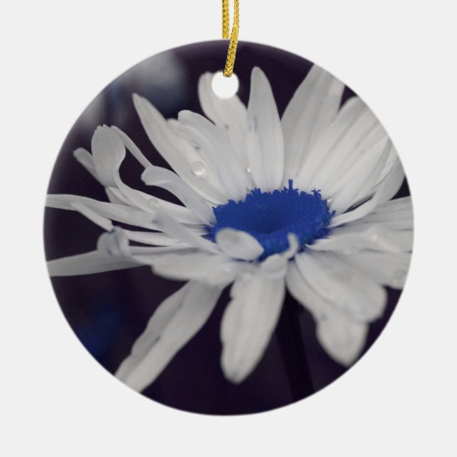 Blue Center Daisy Blume Ornament (Vorne)