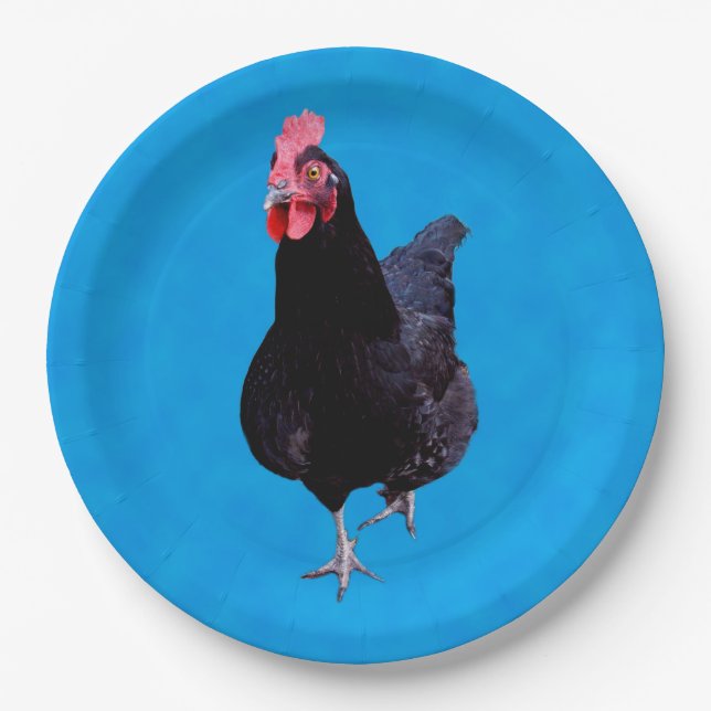 Blue Chicken Strut, Birthday Paper Teller (Vorderseite)