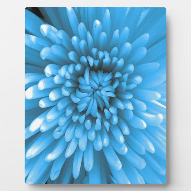 Blue Chrysanthemum Fotoplatte (Vorderseite)
