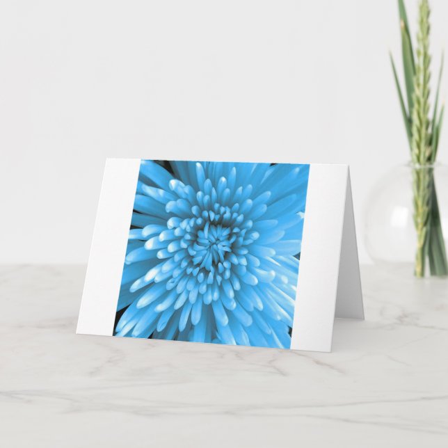 Blue Chrysanthemum Karte (Vorderseite)