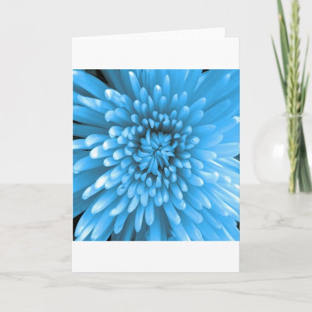 Blue Chrysanthemum Karte (Vorderseite)