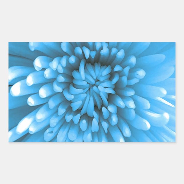Blue Chrysanthemum Rechteckiger Aufkleber (Vorderseite)