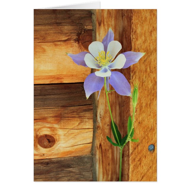 Blue Columbine and Wood Jeden Anlaß Grußkarte (Vorne)