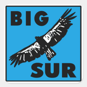 Blue Condor Quadratischer Aufkleber