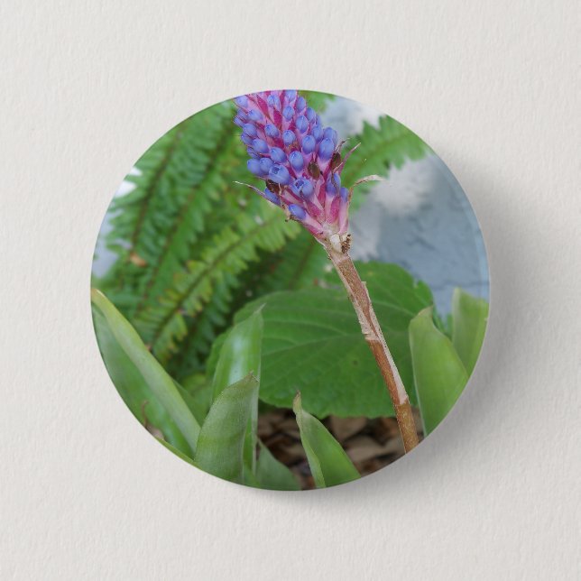 Blue Cone Bromeliad Blume Button (Vorderseite)