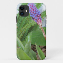 Blue Cone Bromeliad Blume Case-Mate iPhone Hülle