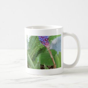 Blue Cone Bromeliad Blume Kaffeetasse