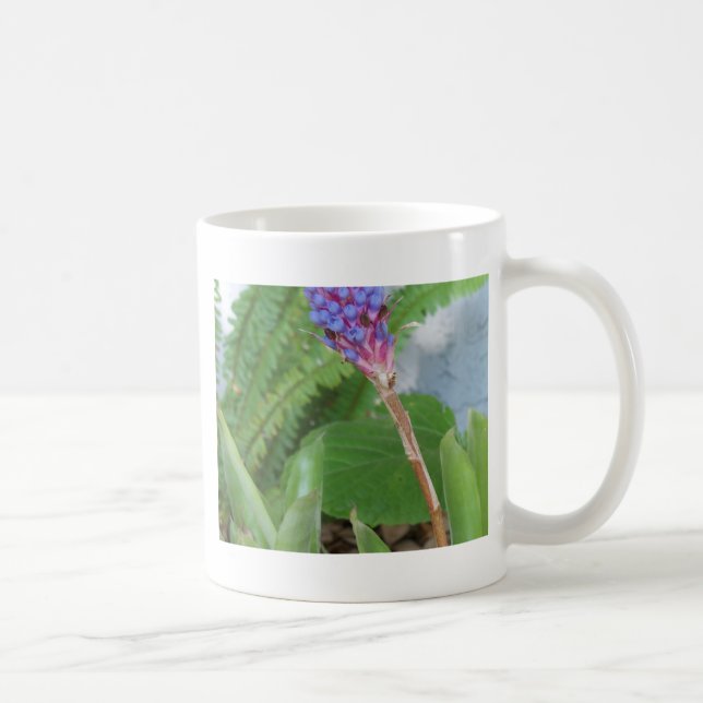 Blue Cone Bromeliad Blume Kaffeetasse (Rechts)