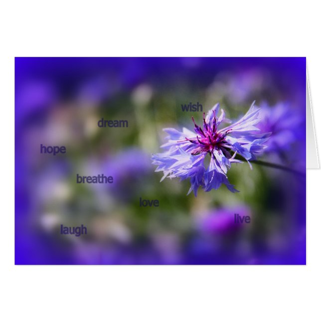 Blue Cornflower Card (Vorderseite (Horizontal))