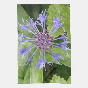 Blue Cornflower Küche Handtuch