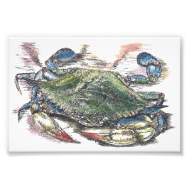 Blue Crab Art Foto Print