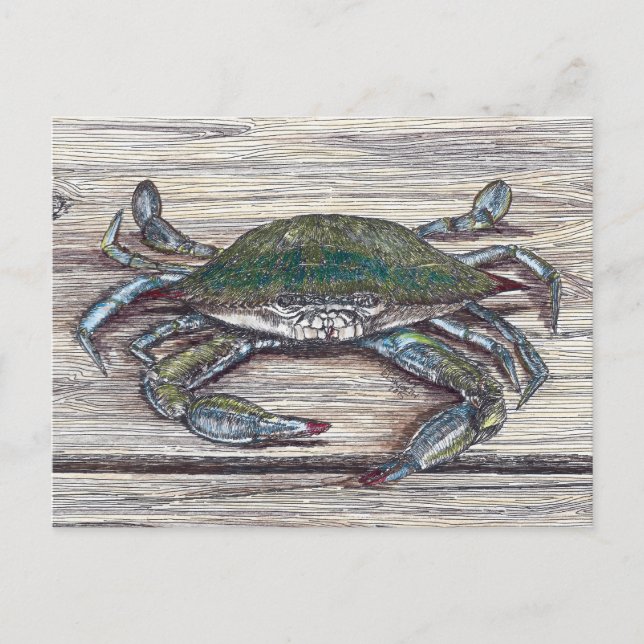 Blue Crab auf Dock Postkarte (Vorderseite)
