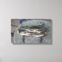 Blue Crab Chesapeake Bay Leinwand Art