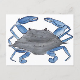 Blue Crab Postcard Postkarte